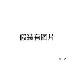 端游推荐_法外枭雄_滚石城